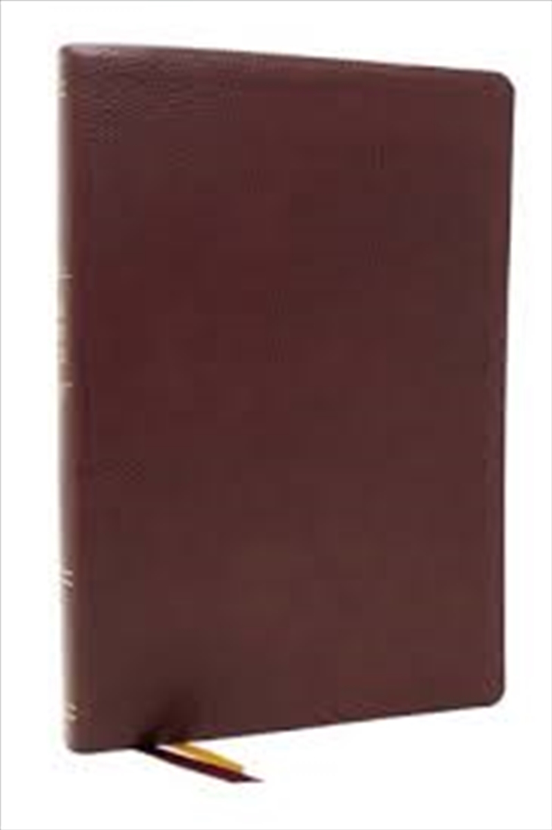 Peace of God Bible/Product Detail/Religion & Beliefs