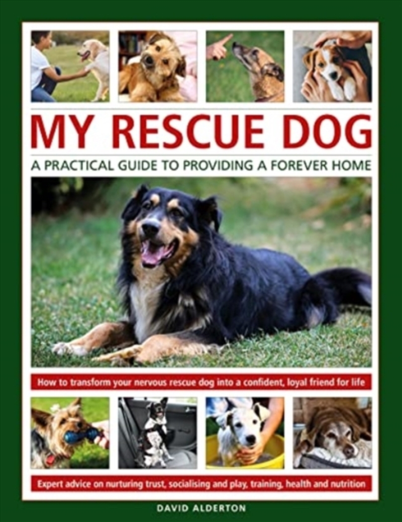 My Rescue Dog: A Practical Guide To Providing A Forever Home : How To Understand And Transform Your/Product Detail/Animals & Nature