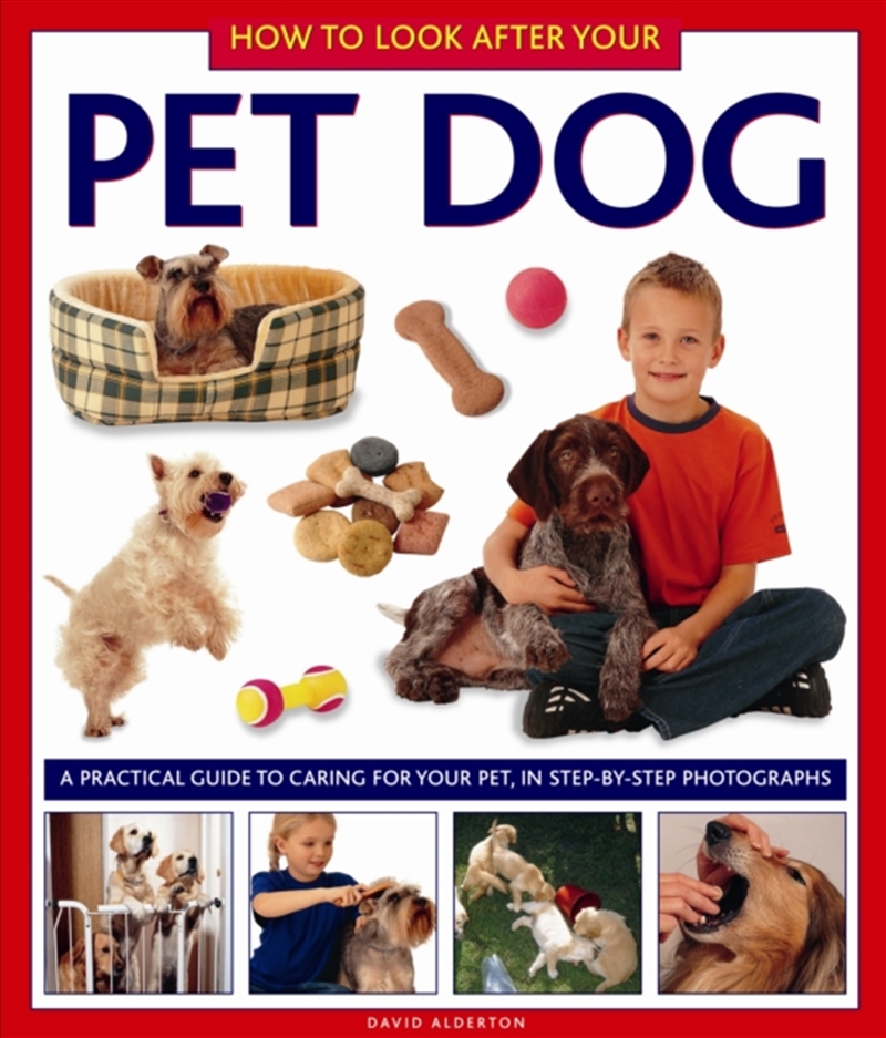 How To Look After Your Pet Dog/Product Detail/Childrens