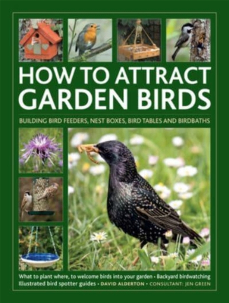 How To Attract Garden Birds : What To Plant; Bird Feeders, Bird Tables, Birdbaths; Building Nest Box/Product Detail/Gardening
