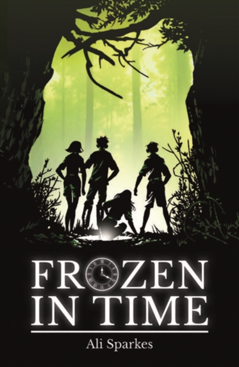 Rollercoasters: Frozen In Time/Product Detail/Childrens Fiction Books