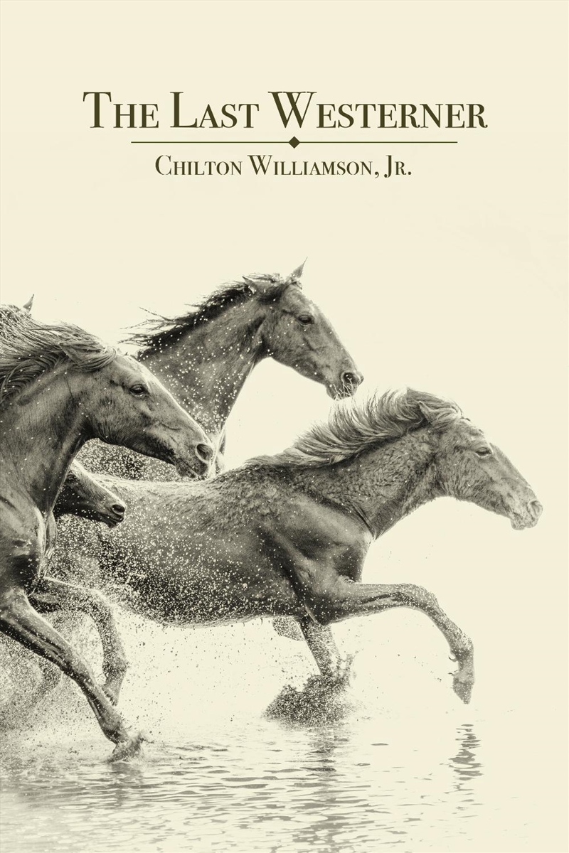 The Last Westerner/Product Detail/Literature & Poetry