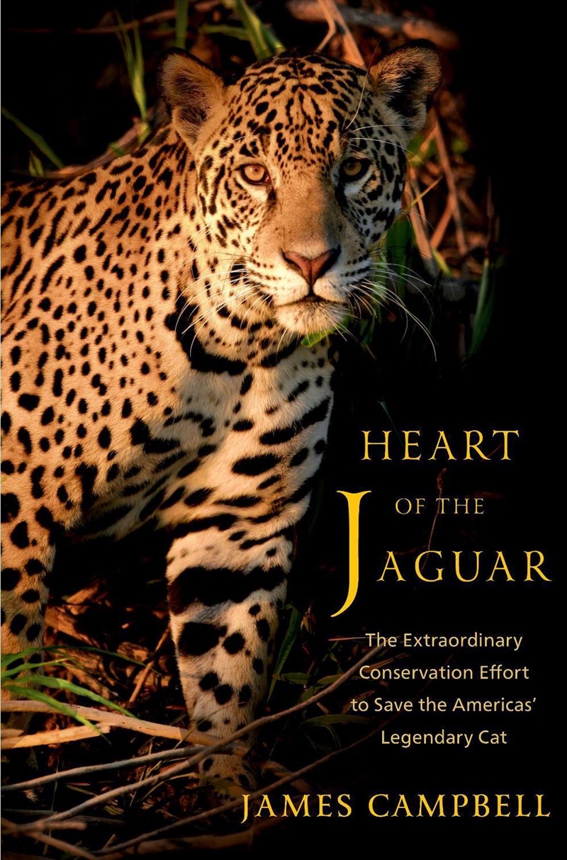 Heart Of The Jaguar - The Extraordinary Conservation Effort To Save The Americas` Legendary Cat/Product Detail/Animals & Nature