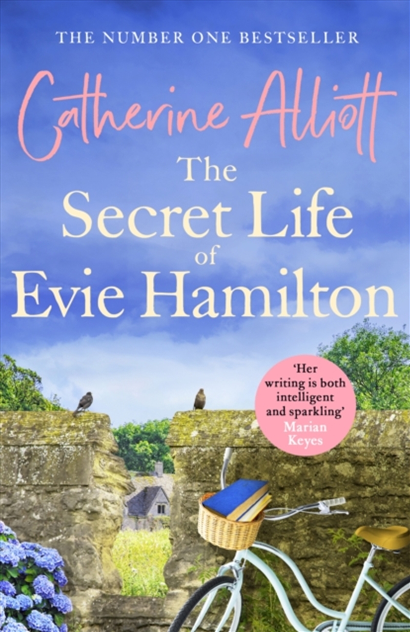 The Secret Life Of Evie Hamilton/Product Detail/General Fiction Books