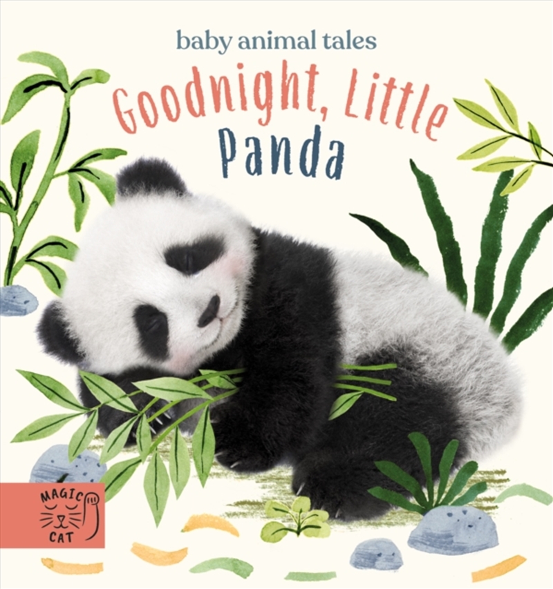 Goodnight Little Panda/Product Detail/Early Childhood Fiction Books