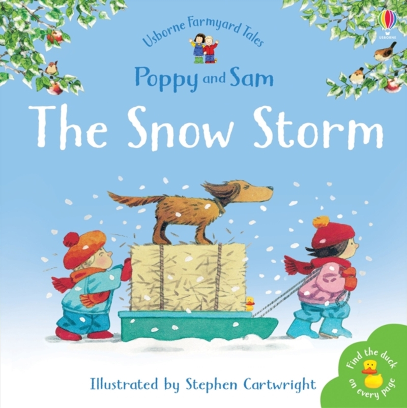Snow Storm/Product Detail/Early Childhood Fiction Books