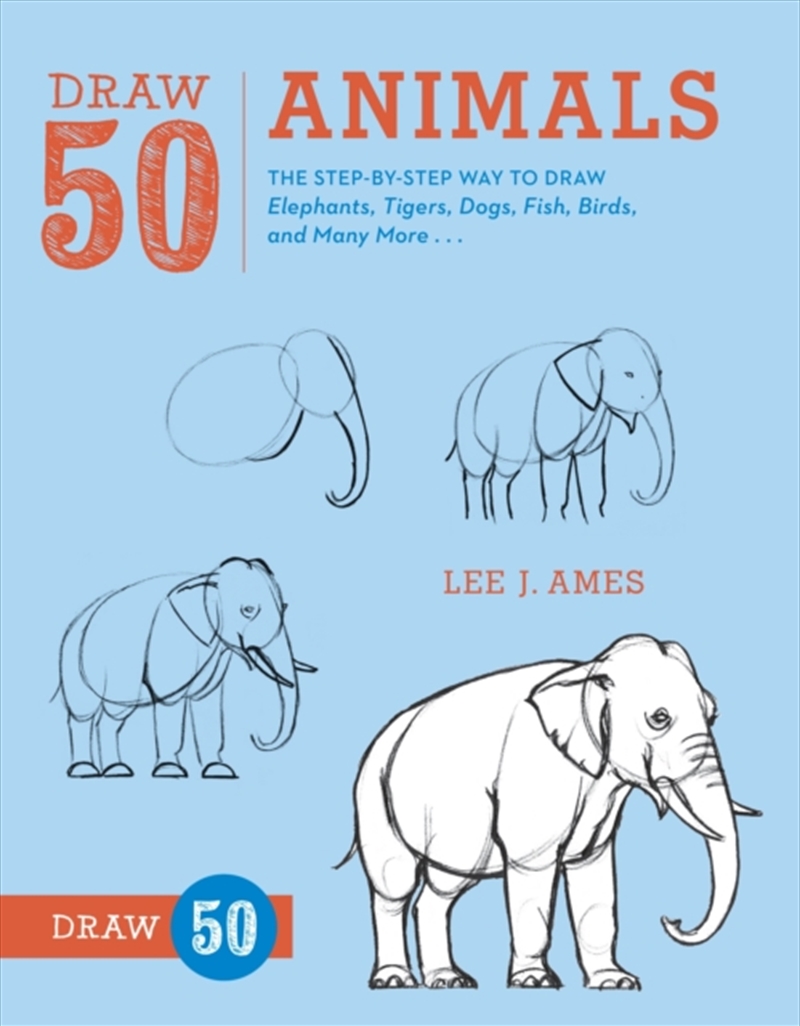 Animals/Product Detail/Kids Activity Books