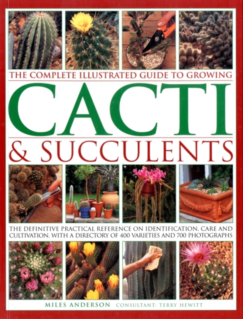 Cacti & Succulents/Product Detail/Gardening