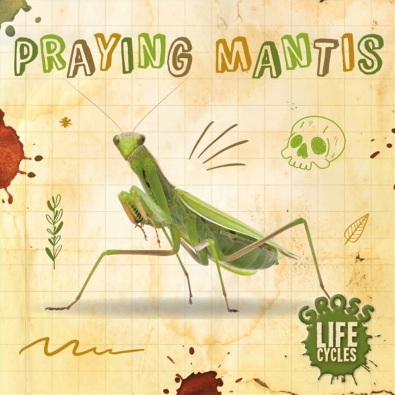Praying Mantis/Product Detail/Early Childhood Fiction Books