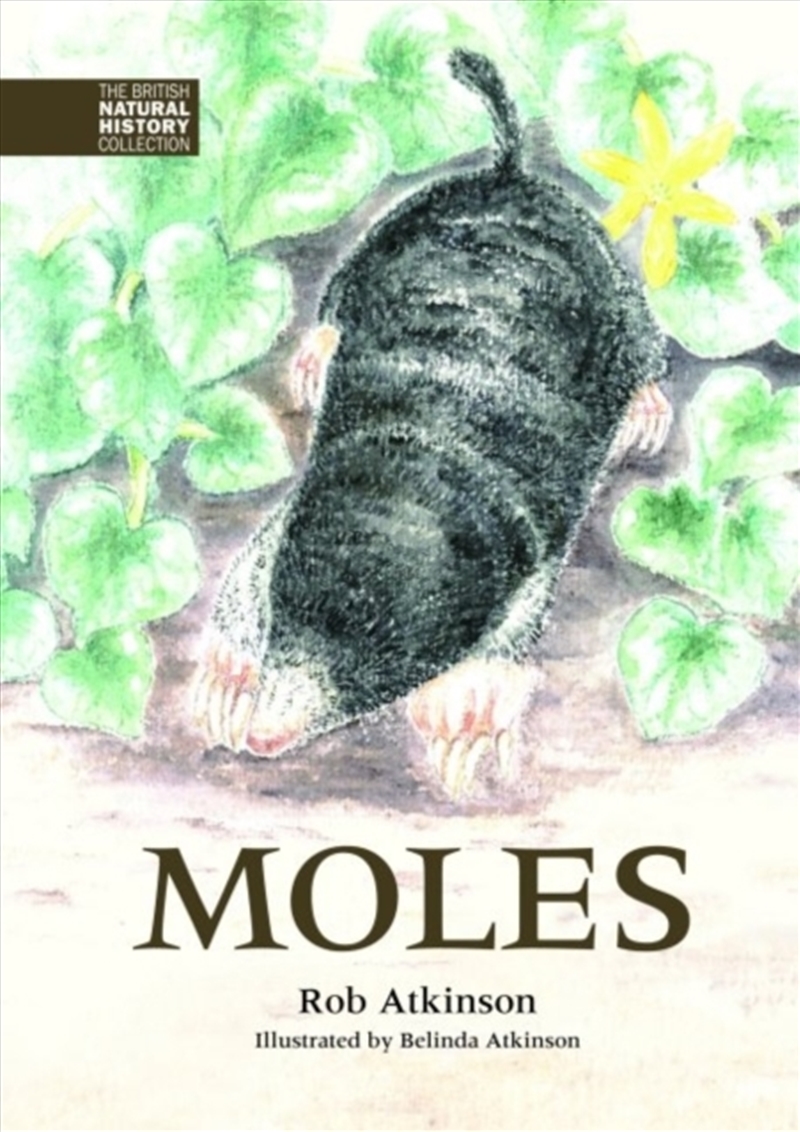 Moles/Product Detail/Animals & Nature