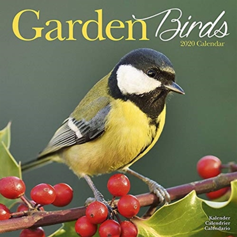 Garden Birds 2020 Calendar/Product Detail/Calendars & Diaries