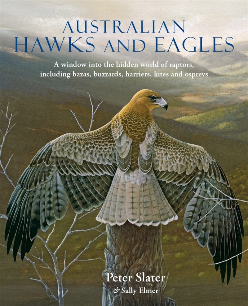 Australian Hawks And Eagles/Product Detail/Animals & Nature
