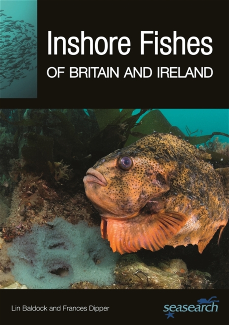 Inshore Fishes Of Britain & Ireland/Product Detail/Animals & Nature