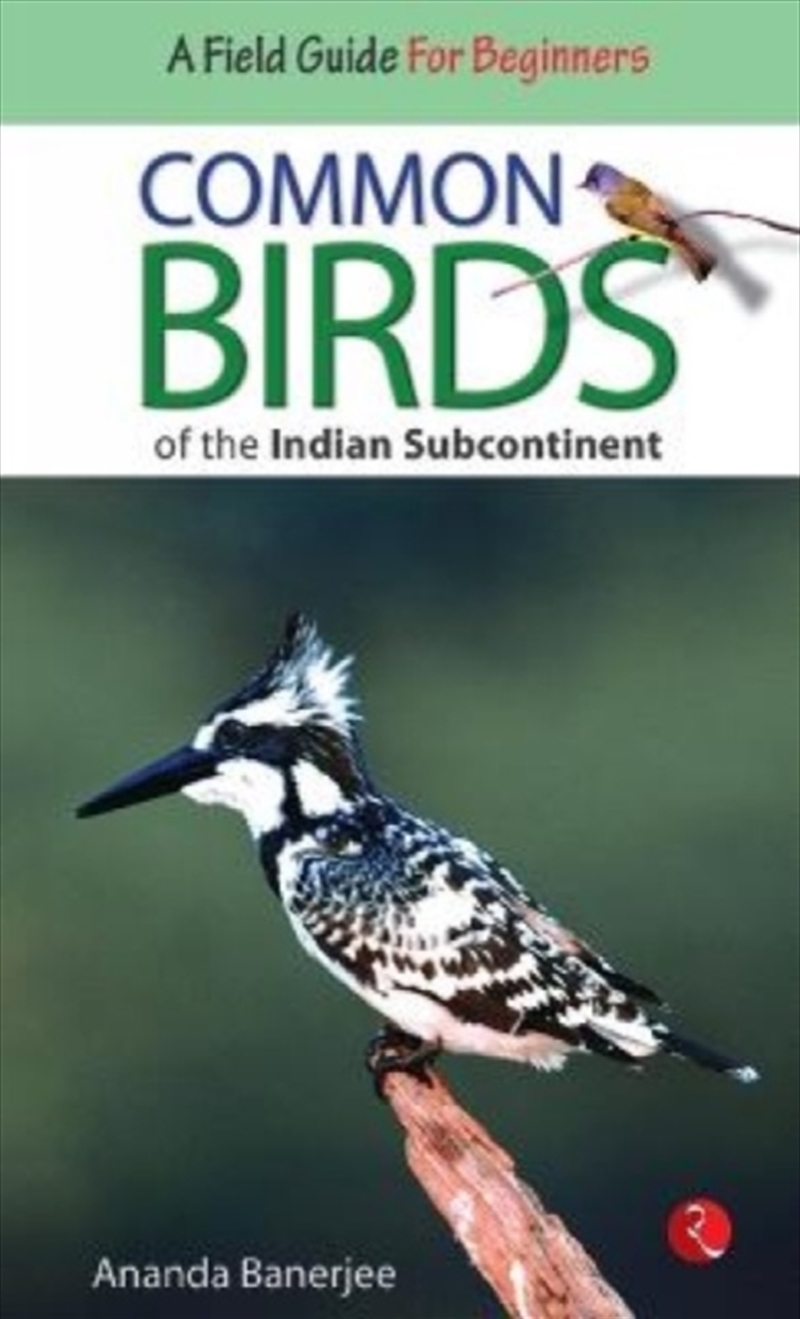 Common Birds Of The Indian Subcontinent/Product Detail/Animals & Nature