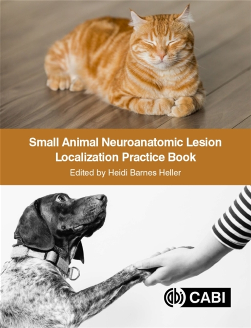 Small Animal Neuroanatomic Lesion Locali/Product Detail/Animals & Nature