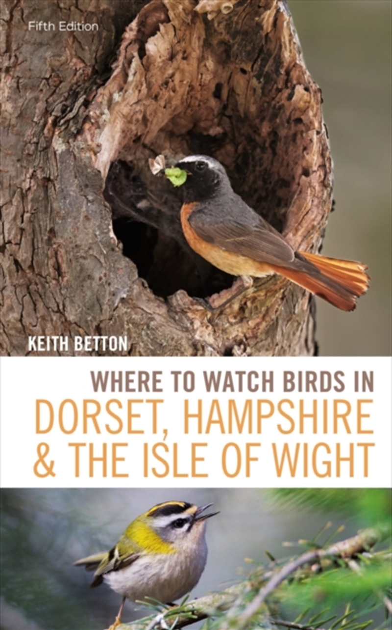 Where To Watch Birds In Dorset Hampshire/Product Detail/Animals & Nature