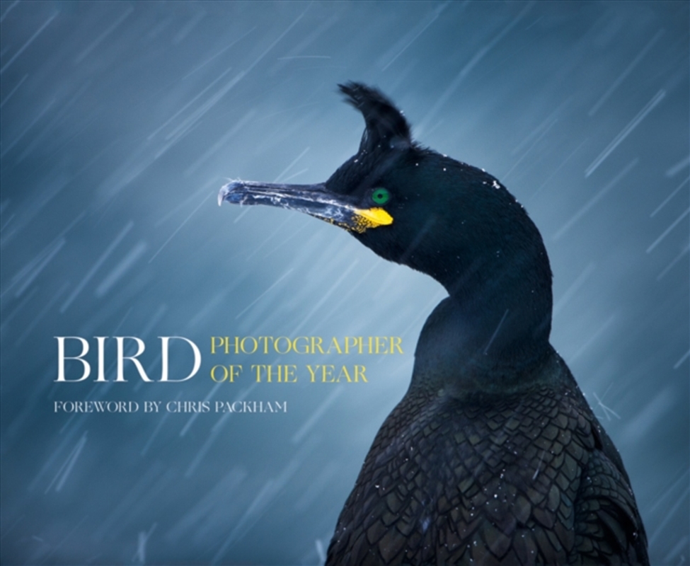 Bird Photographer Of The Year/Product Detail/Animals & Nature