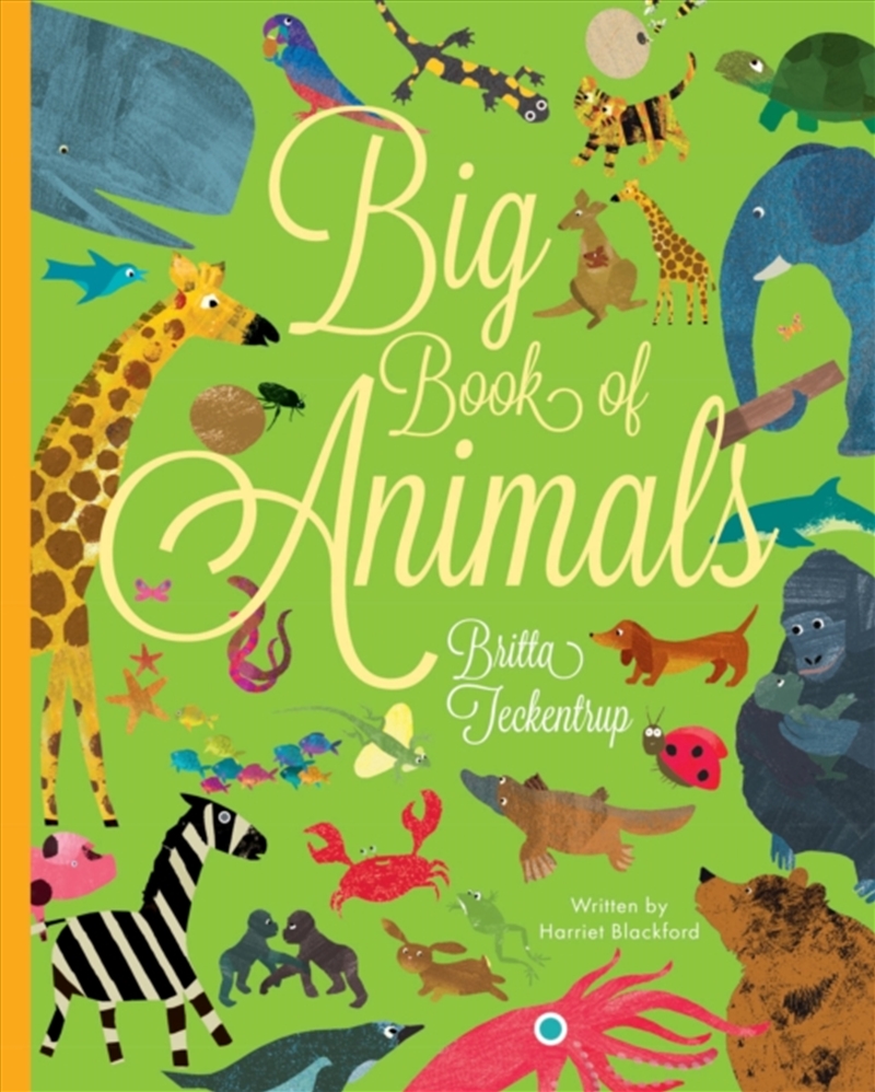 Big Book Of Animals/Product Detail/Early Childhood Fiction Books