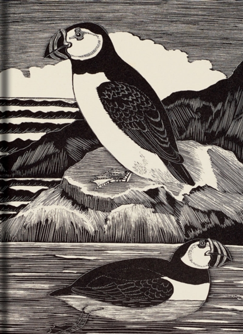 Birds Journal/Product Detail/Animals & Nature