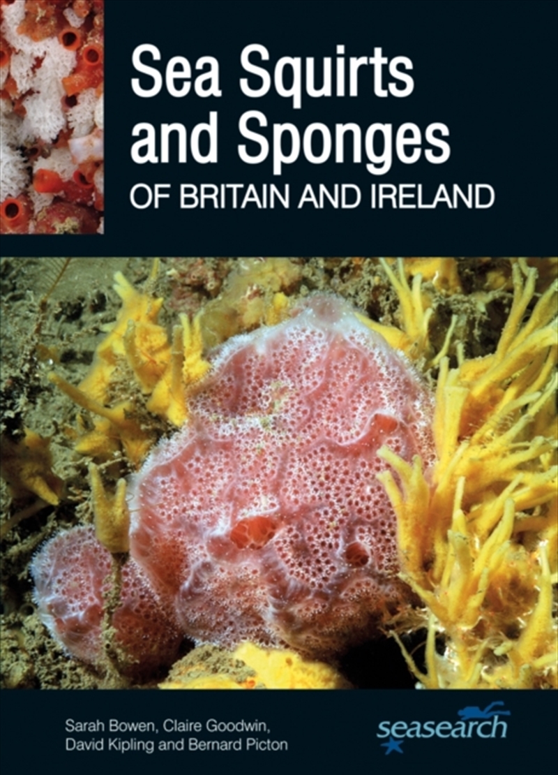 Sponges And Sea Squirts Of Britain And D/Product Detail/Animals & Nature