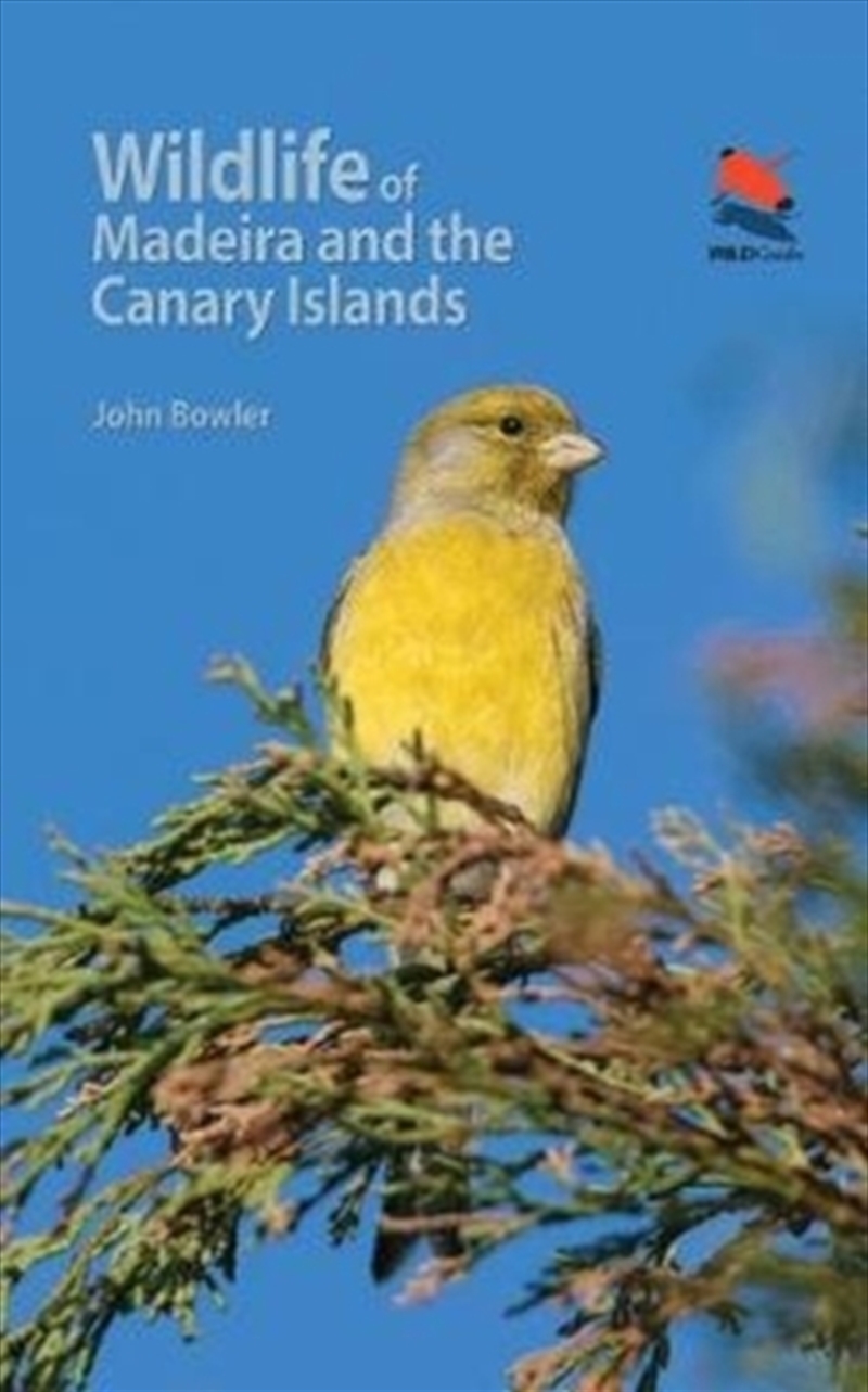 Wildlife Of Madeira & The Canary Islands/Product Detail/Animals & Nature