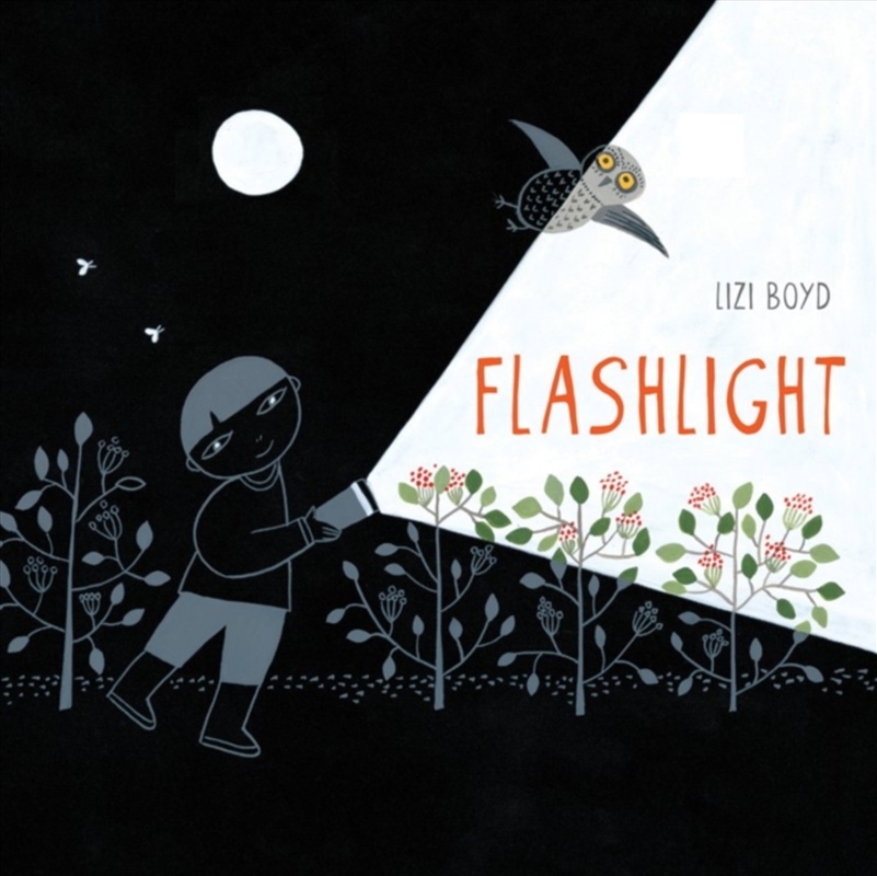 Flashlight/Product Detail/Early Childhood Fiction Books