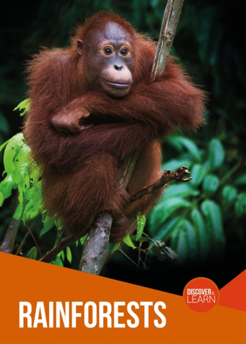 Rainforests/Product Detail/Childrens