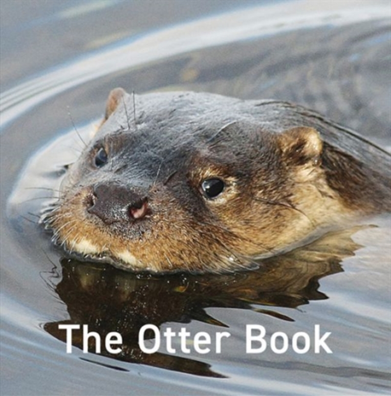 Otter Book 12/Product Detail/Animals & Nature