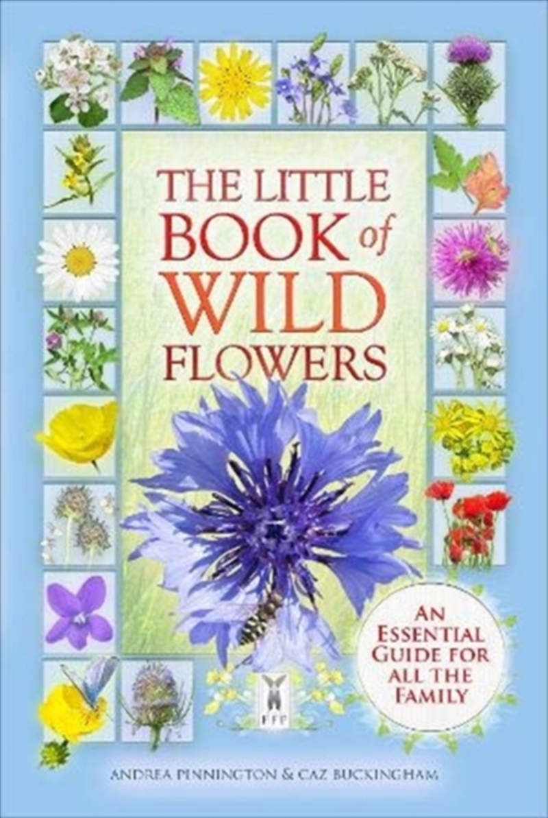 Little Book Of Wild Flowers/Product Detail/Childrens
