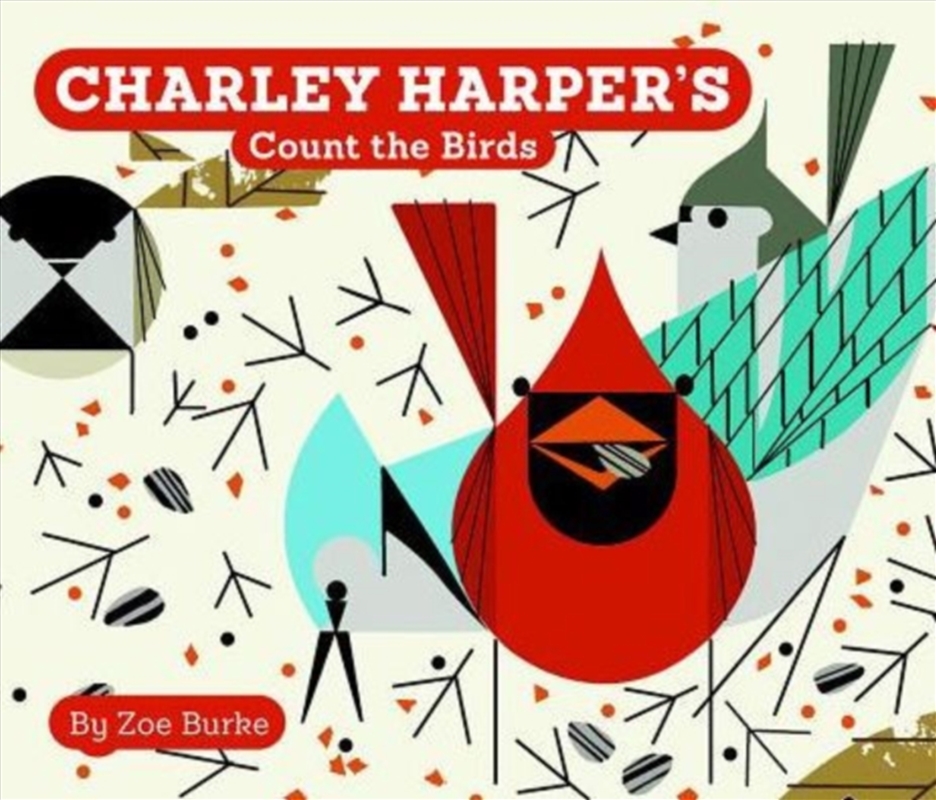 Count The Birds/Product Detail/Early Childhood Fiction Books