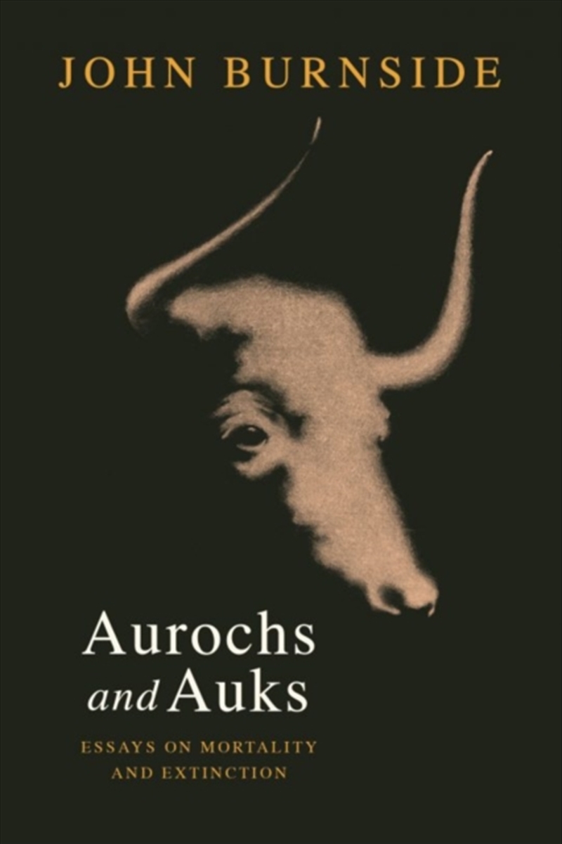 Aurochs & Auks Essays On Extinction/Product Detail/Animals & Nature