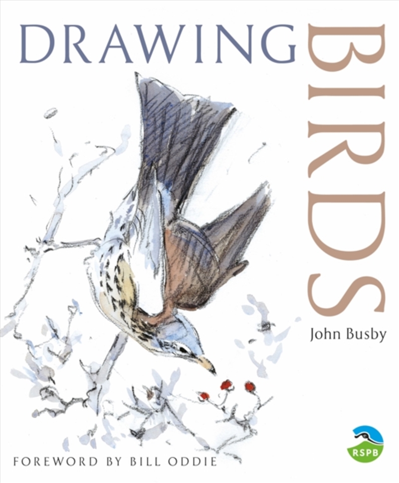 Drawing Birds/Product Detail/Crafts & Handiwork