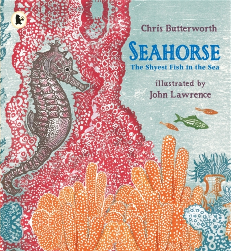 Seahorse The Shyest Fish In The Sea/Product Detail/Early Childhood Fiction Books