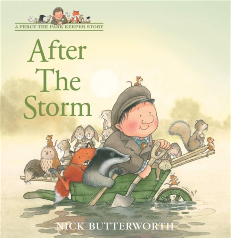 After The Storm/Product Detail/Early Childhood Fiction Books