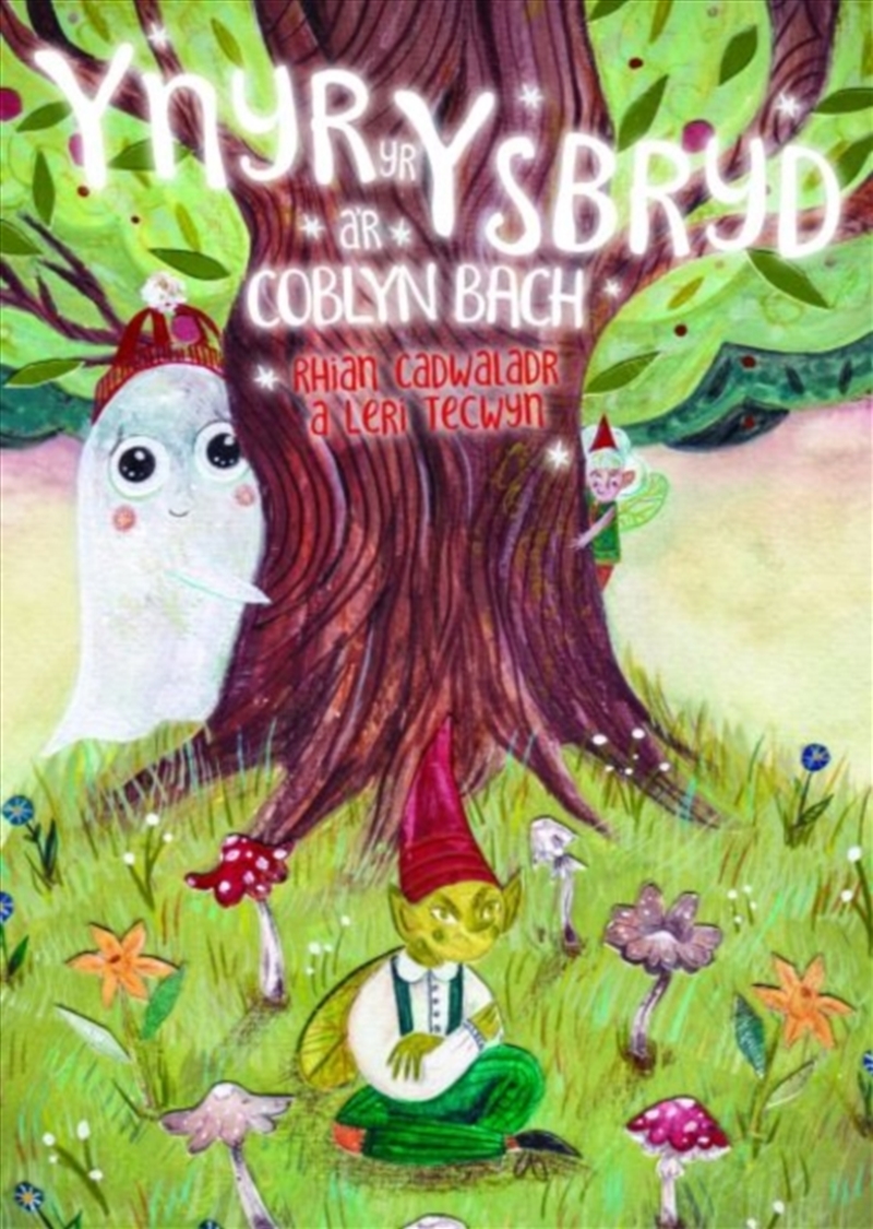 Ynyr Yr Ysbryd Ar Coblyn Bach/Product Detail/Early Childhood Fiction Books