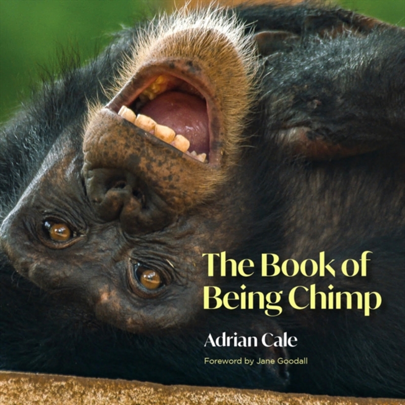 Book Of Being Chimp/Product Detail/Animals & Nature