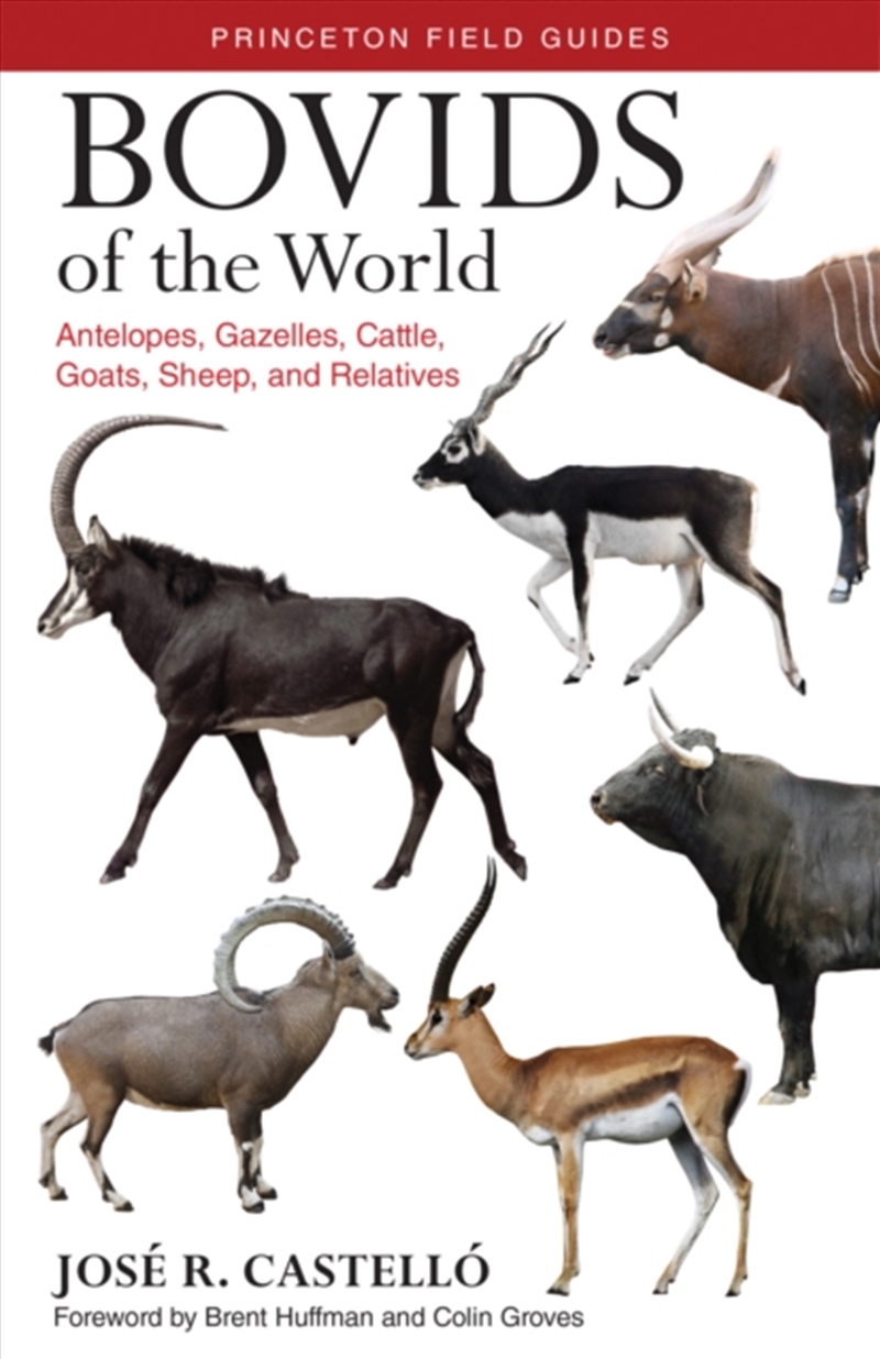 Bovids Of The World/Product Detail/Animals & Nature