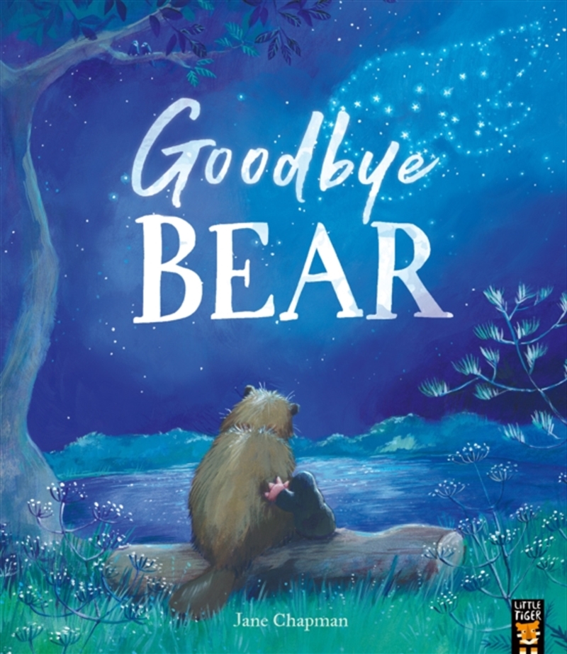 Goodbye Bear/Product Detail/Early Childhood Fiction Books