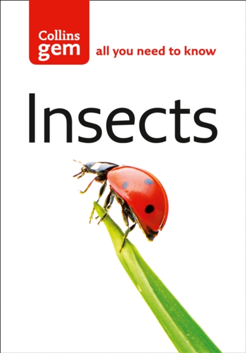 Gem Insects/Product Detail/Animals & Nature