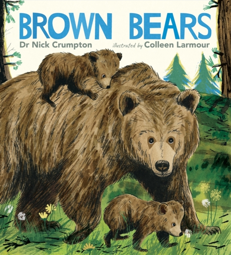 Brown Bears/Product Detail/Early Childhood Fiction Books