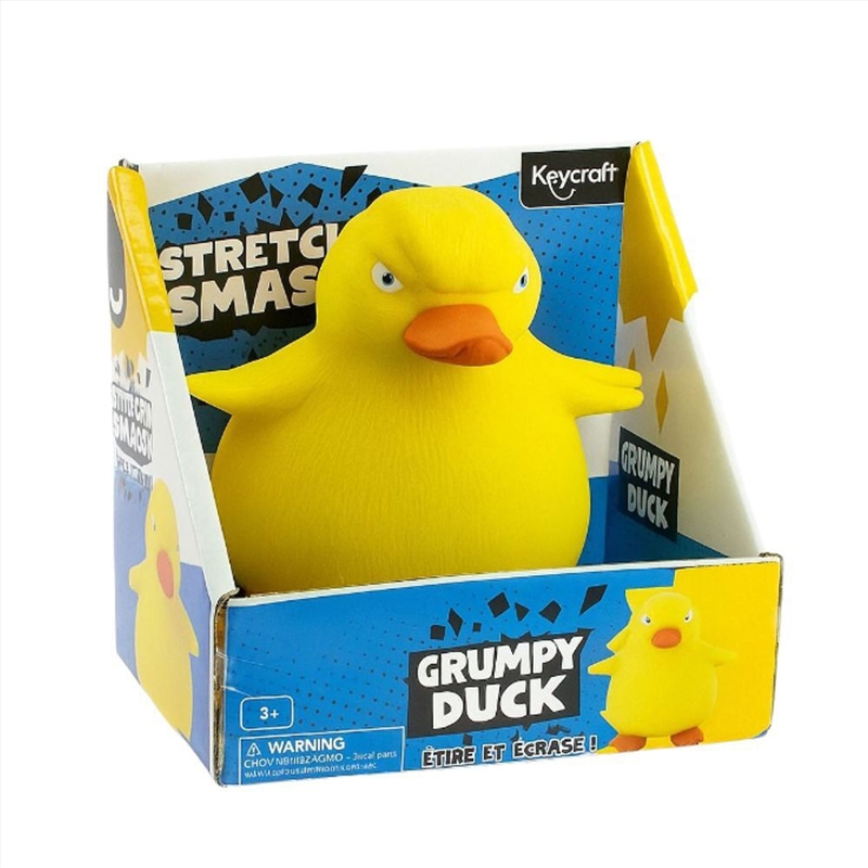 Stretch N Smash Grumpy Duck/Product Detail/Toys