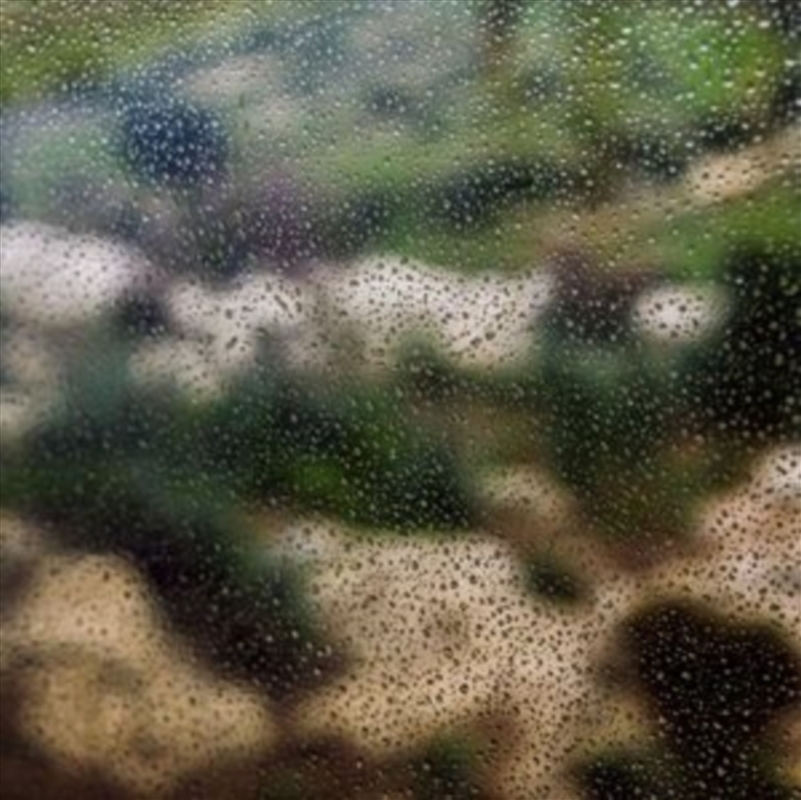 Silliness/Product Detail/Specialist