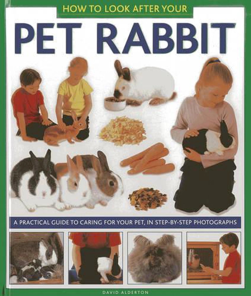 How To Look After Your Pet Rabbit/Product Detail/Childrens