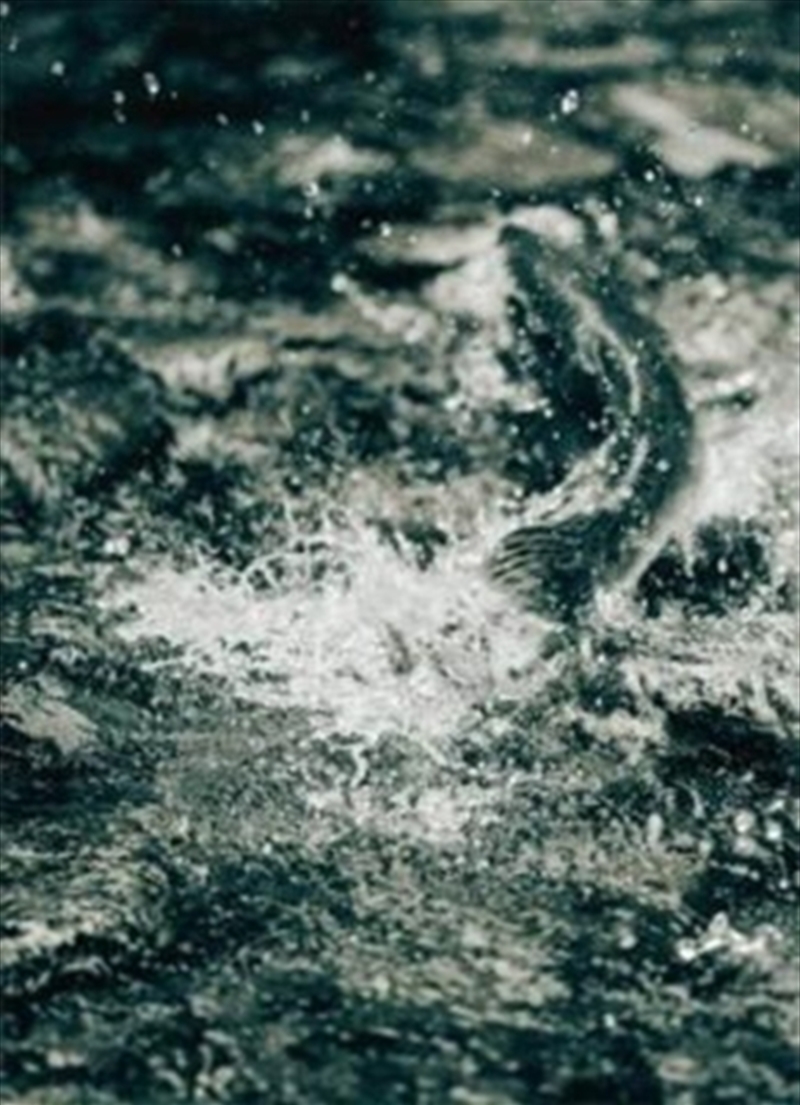 Bruno Augsburger - Gone Fishing/Product Detail/Photography