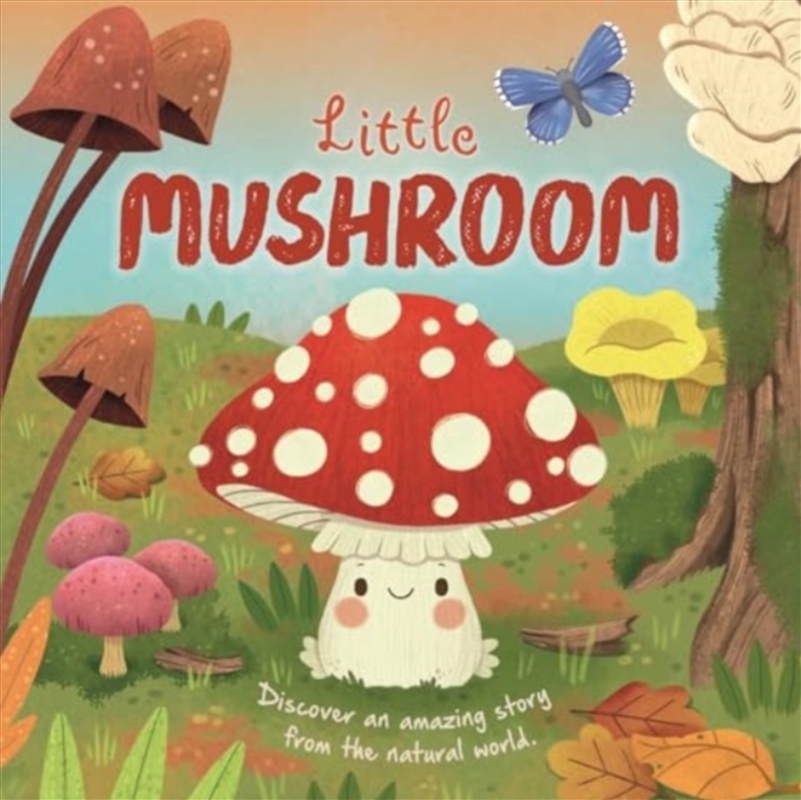 Little Mushroom/Product Detail/Childrens Fiction Books