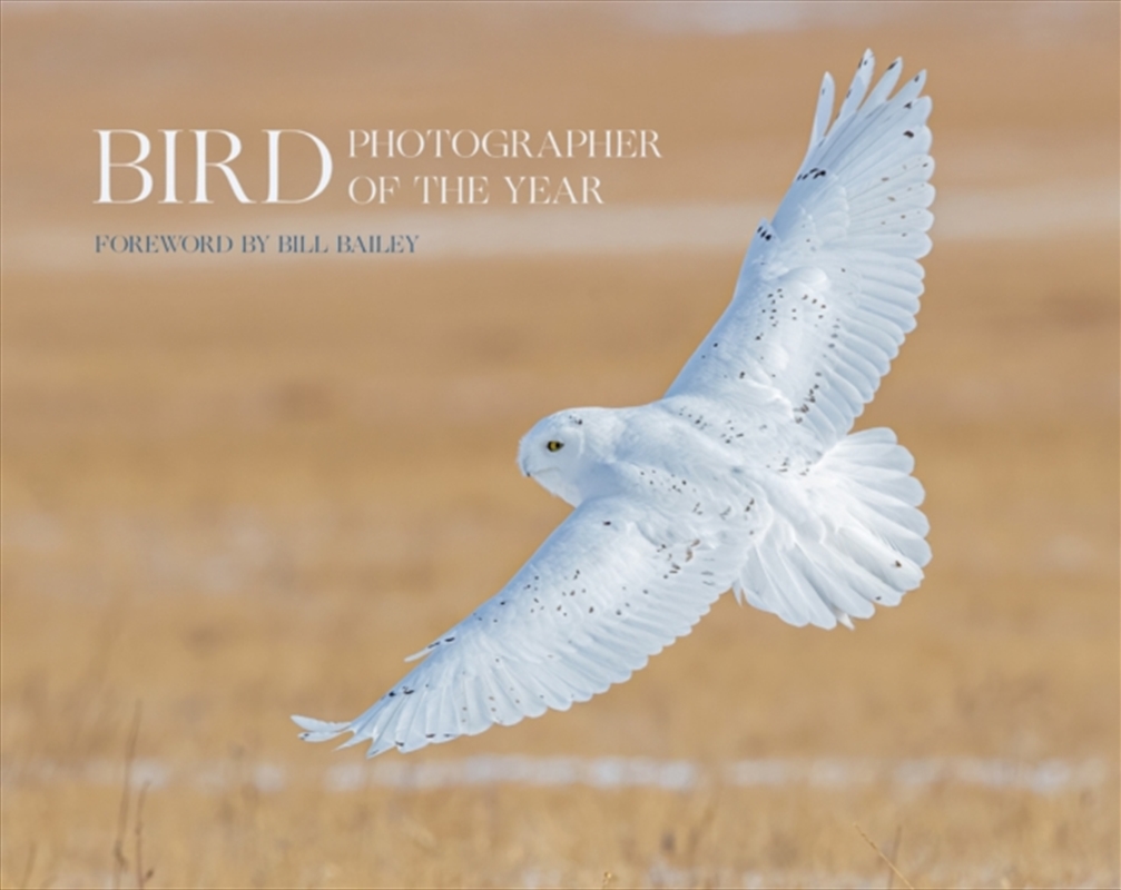 Bird Photographer Of The Year : Collection 6/Product Detail/Photography