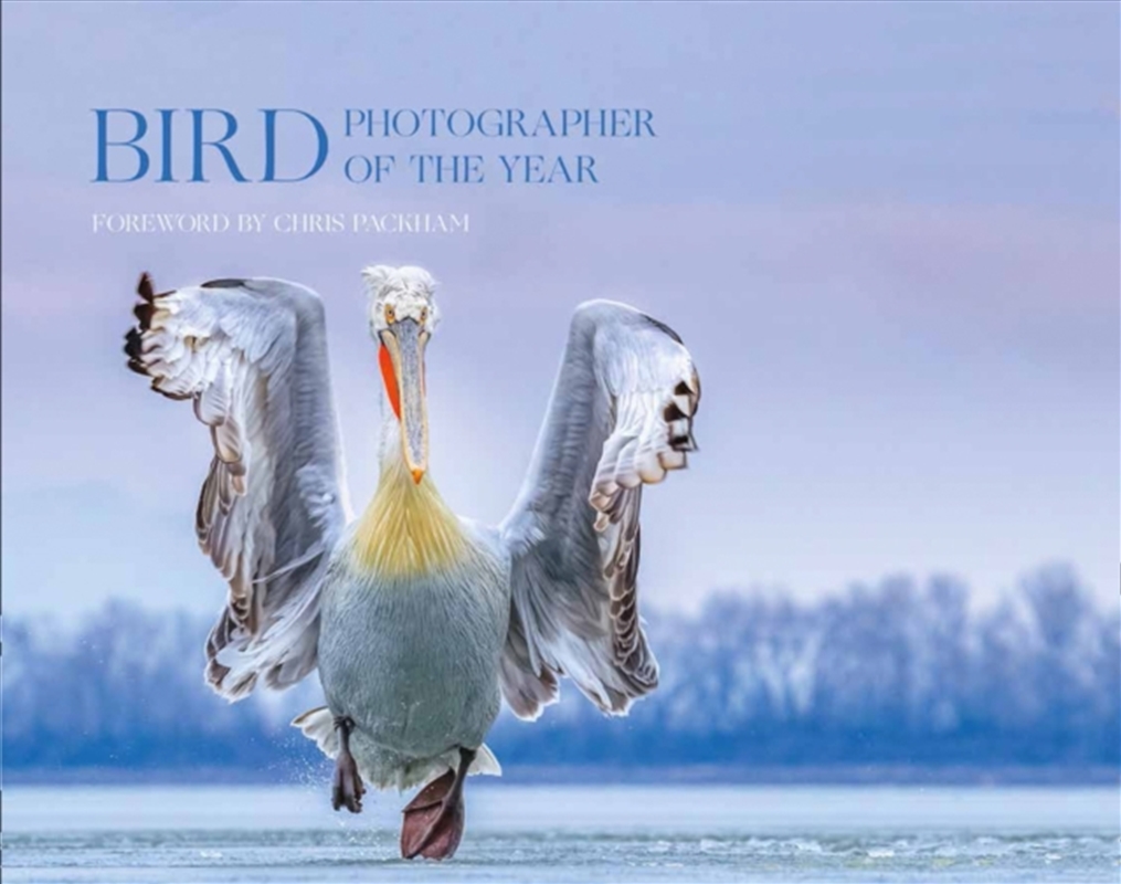 Bird Photographer Of The Year : Collection 4/Product Detail/Photography