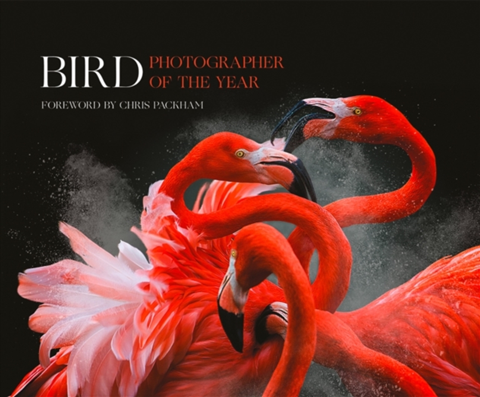 Bird Photographer Of The Year : Collection 3/Product Detail/Photography