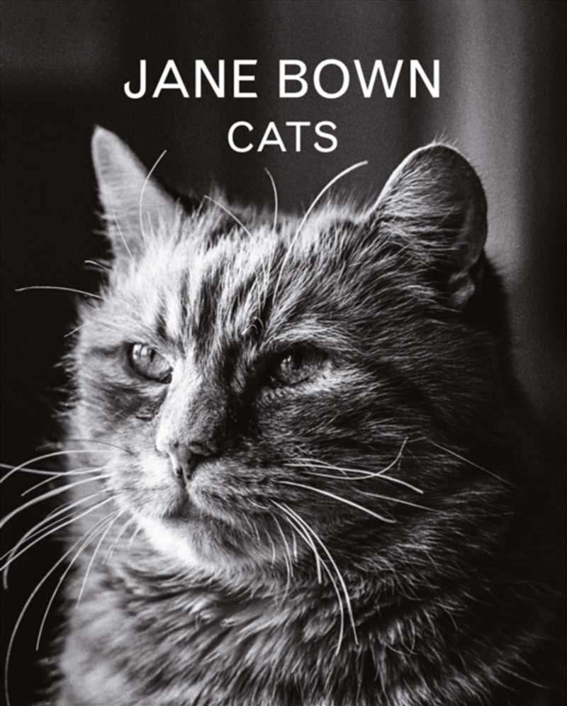 Jane Bown: Cats/Product Detail/Photography