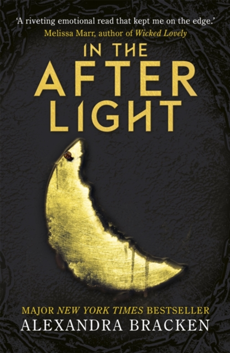 A Darkest Minds Novel: In The Afterlight/Product Detail/Childrens Fiction Books